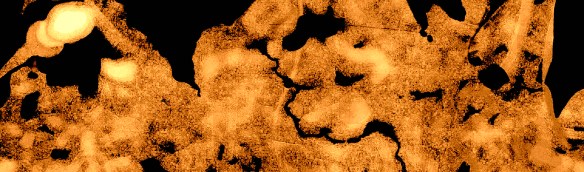 Jas_O Jardim2022_11_27Rec