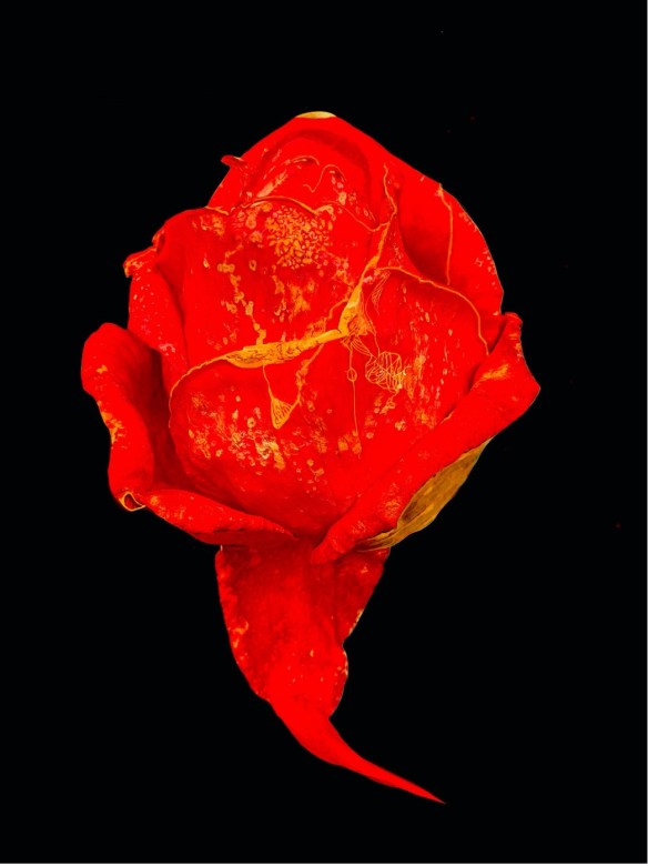 Transfiguração_1