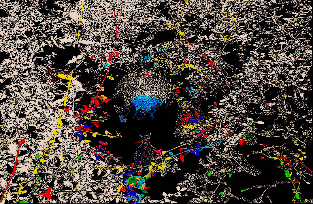 ANeveeaPrimavera2023