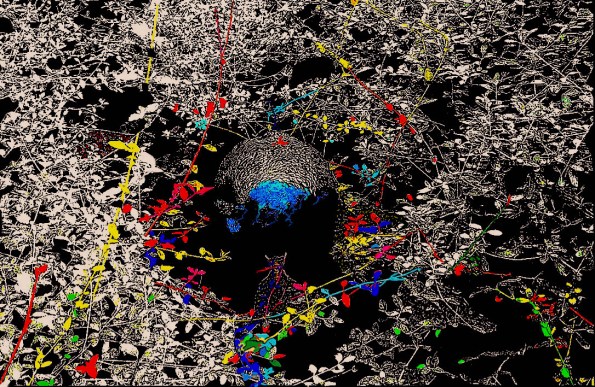 ANeveeaPrimavera2023