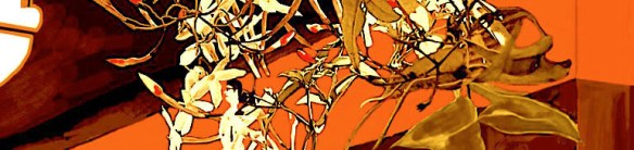 JAS_Porta2023_CorRec