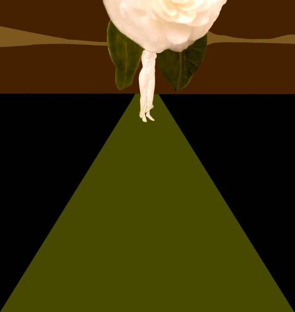 DeusadasCamelias2023_07