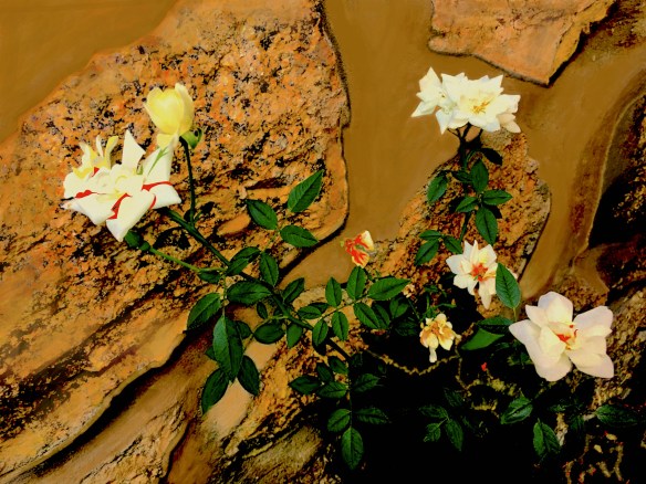 JasSil&amp;Temp2023_1