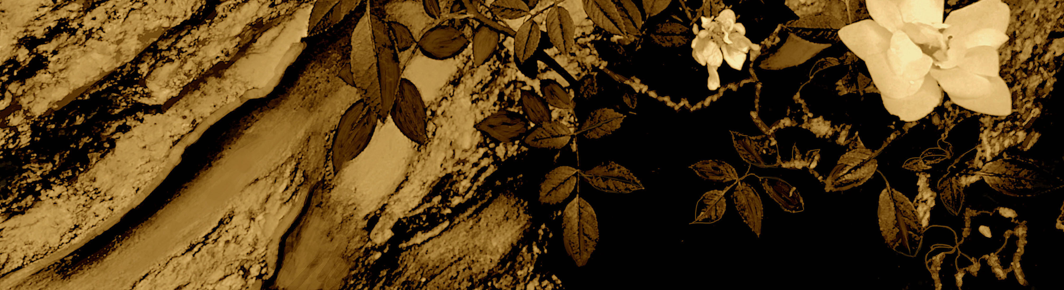 OSilêncioeoTempo2023PubRec