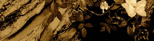 OSilêncioeoTempo2023PubRec