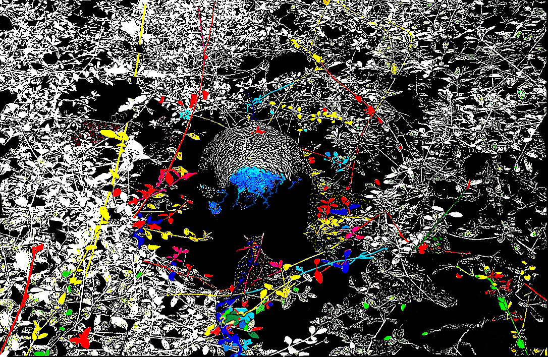 Jas13ANeveEaPrimavera2022