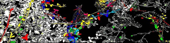 Jas13ANeveEaPrimavera2022Rec