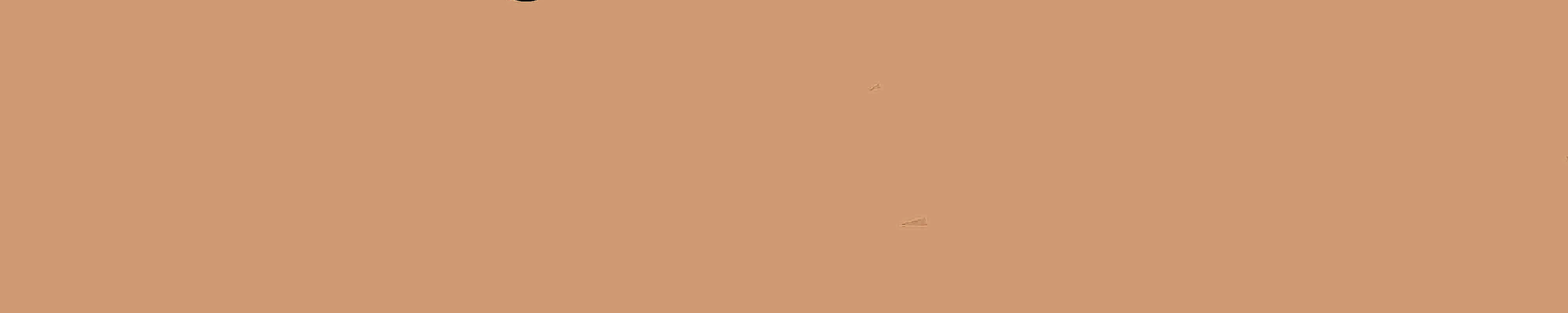 JAS_Perfil09_2023Rec