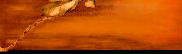 Timidez_10_2023FinalRec