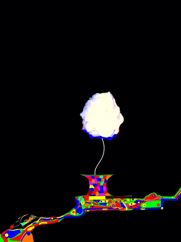 Jas_Camélia2023_4.jpgLuz