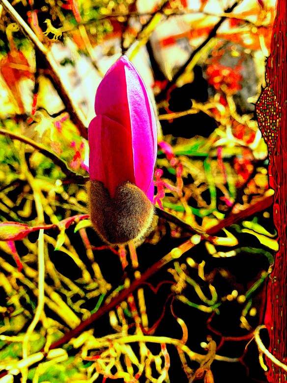 ConfissõesNoJardim2023