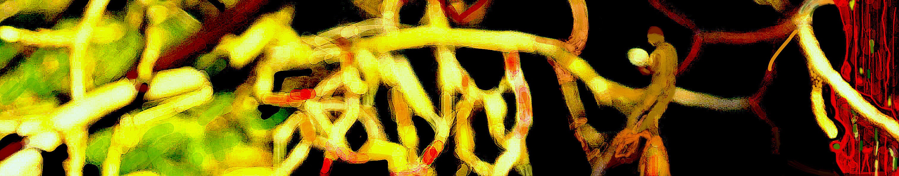 ConfissõesNoJardim2023Rec