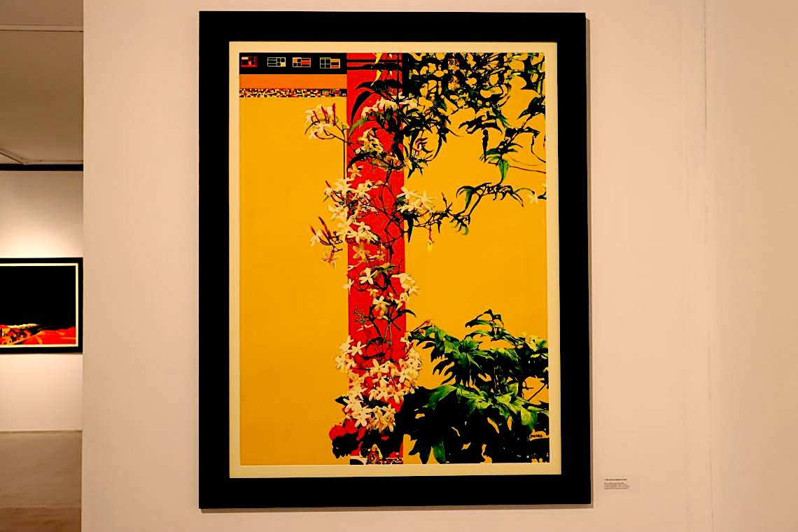 InauguraçãoLUZnoVale0802_16