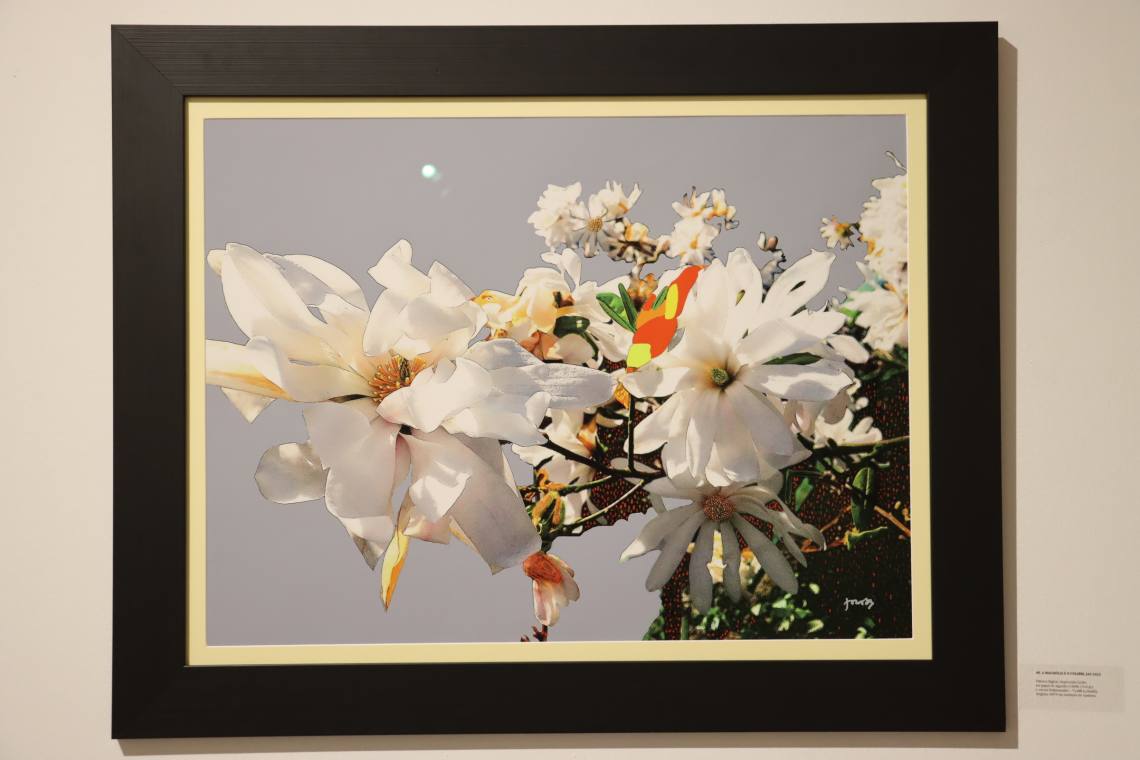 InauguraçãoLUZnoVale0802_9