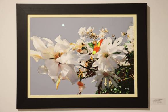 InauguraçãoLUZnoVale0802_9