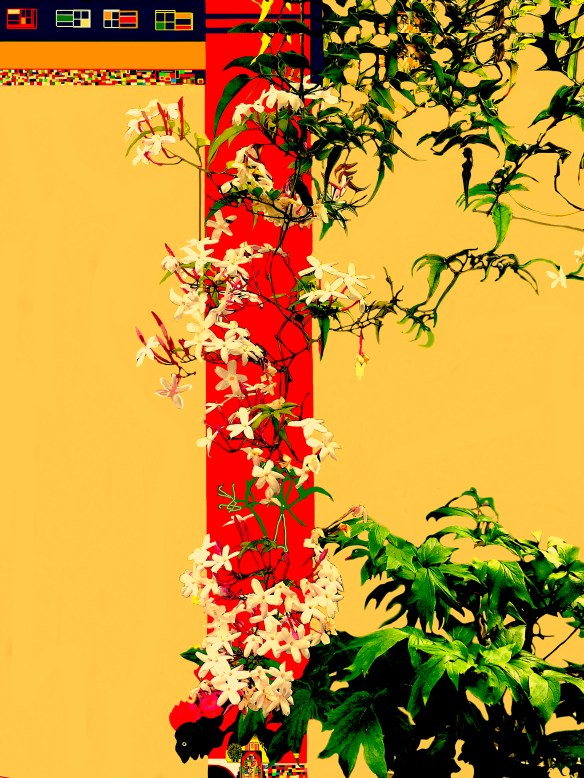 Jas07UmaCasaNoJardim2022