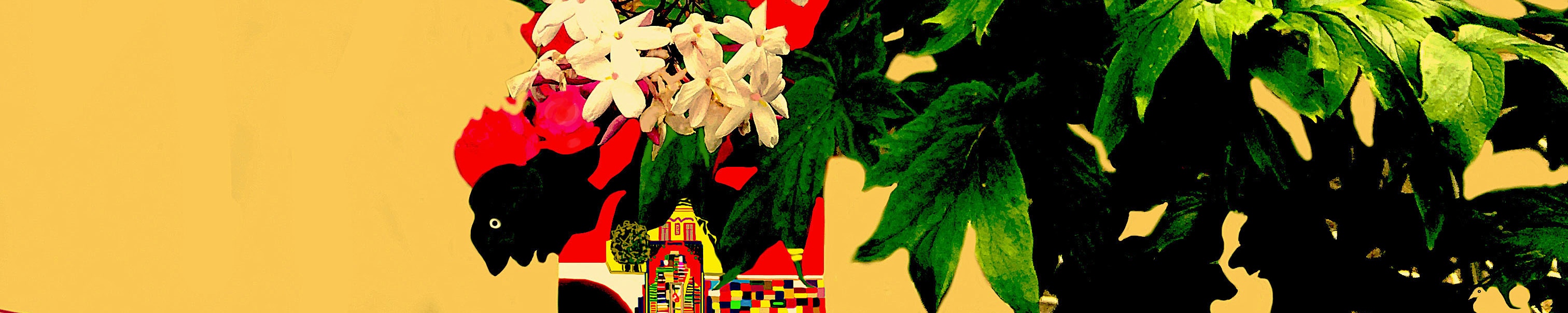 Jas07UmaCasaNoJardim2022Rec