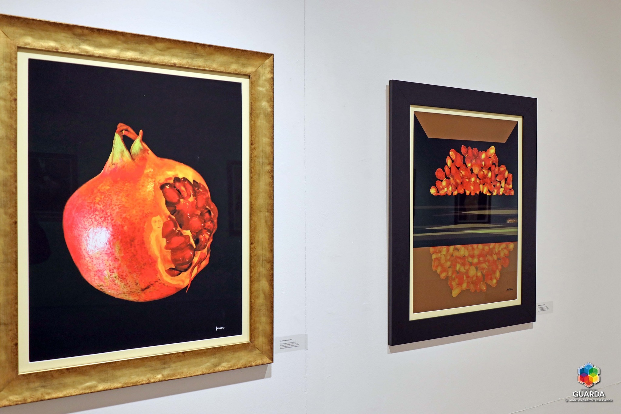 LuzNoVale&amp;Poesia12