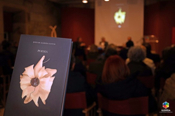 LuzNoVale&amp;Poesia13