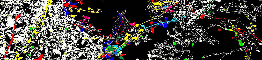 Jas13ANeveEaPrimavera2022REC