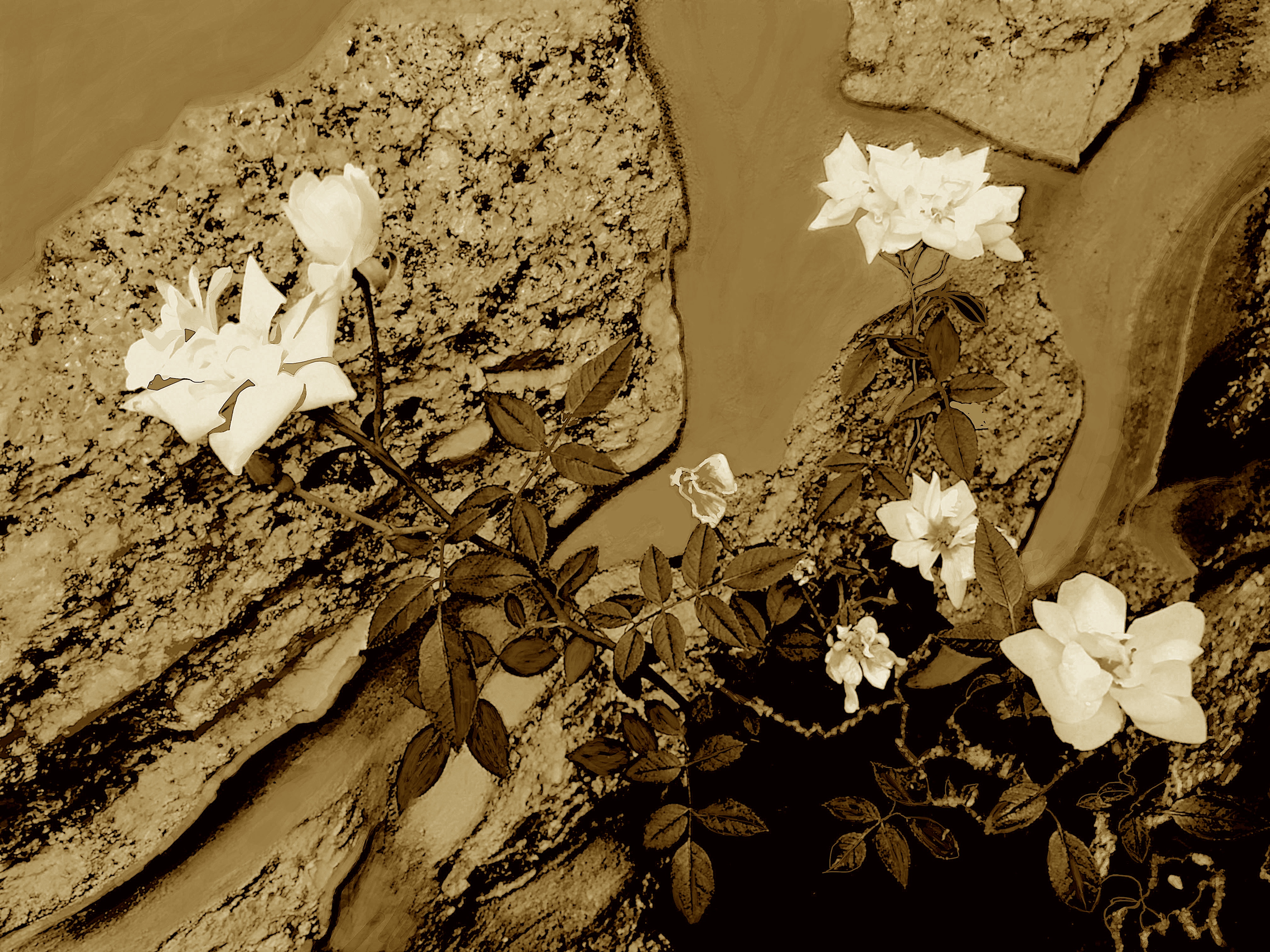 OSilêncioeoTempo2024