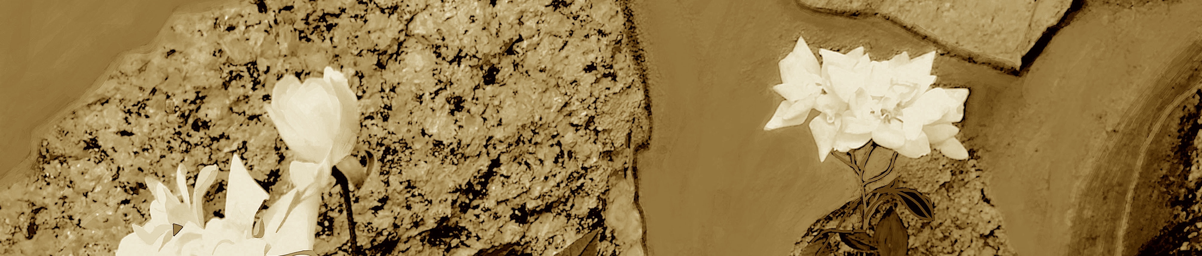 OSilêncioeoTempo2024Rec