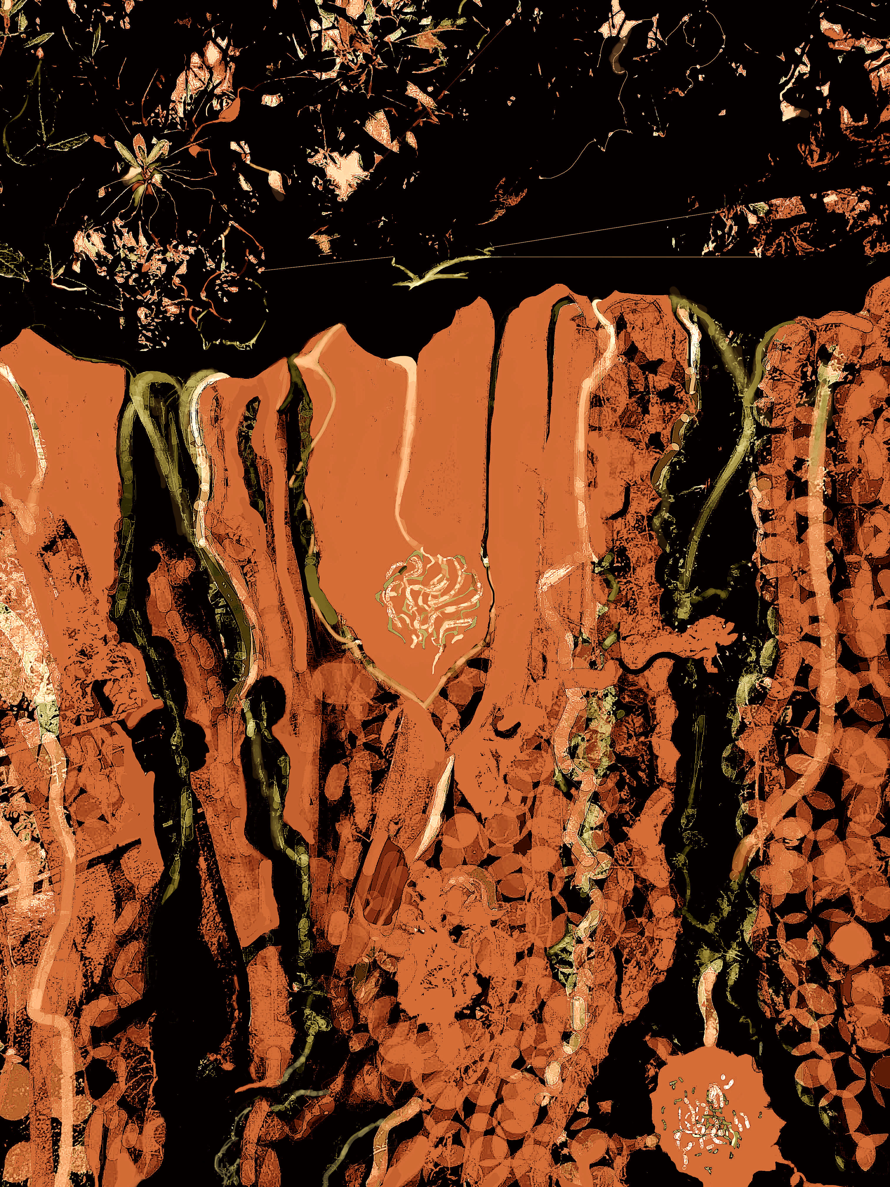 Jas_Cascata31_2021_3Sepia