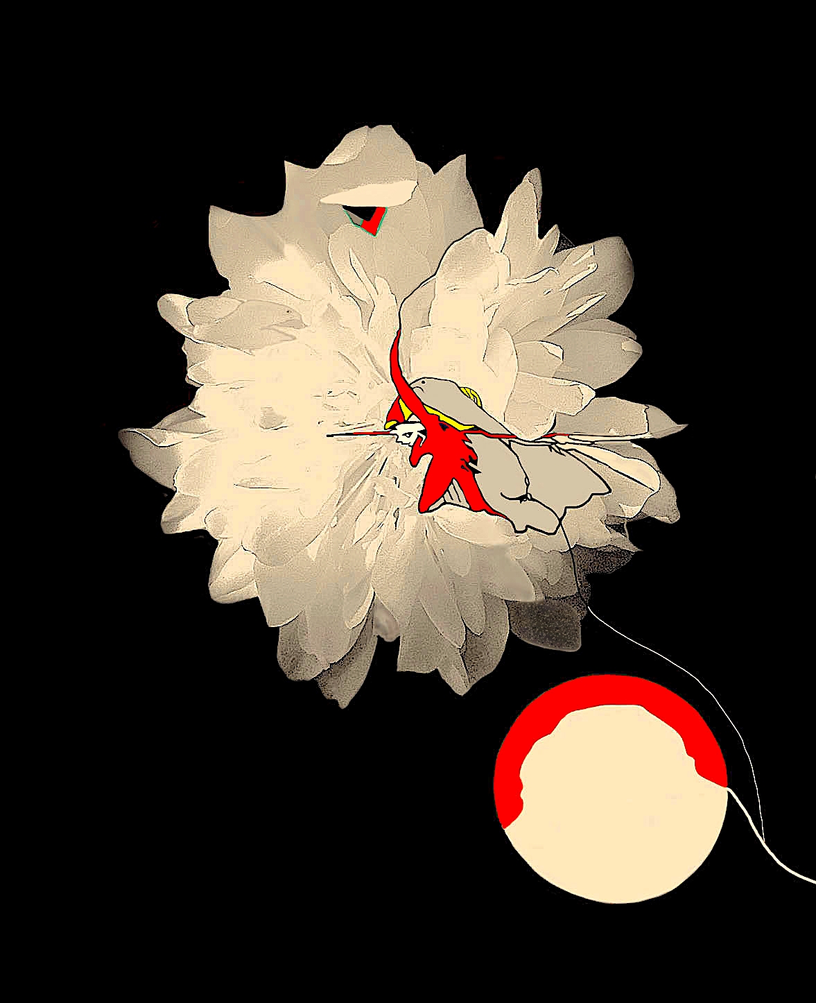 MagiaPublicado06_2021