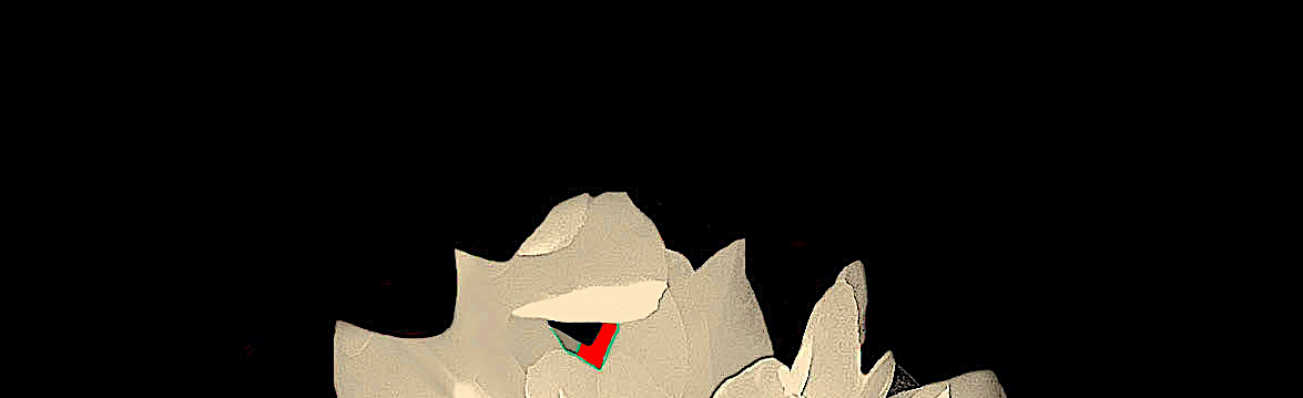 MagiaPublicado06_2021Rec