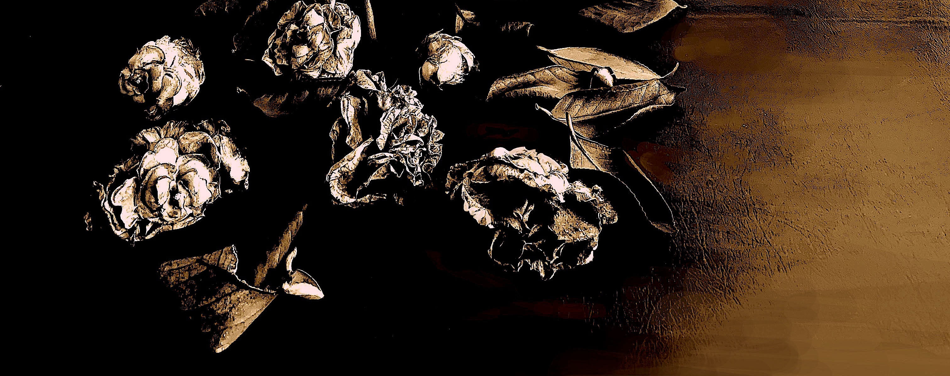 NaturezaMorta2025FinalRec